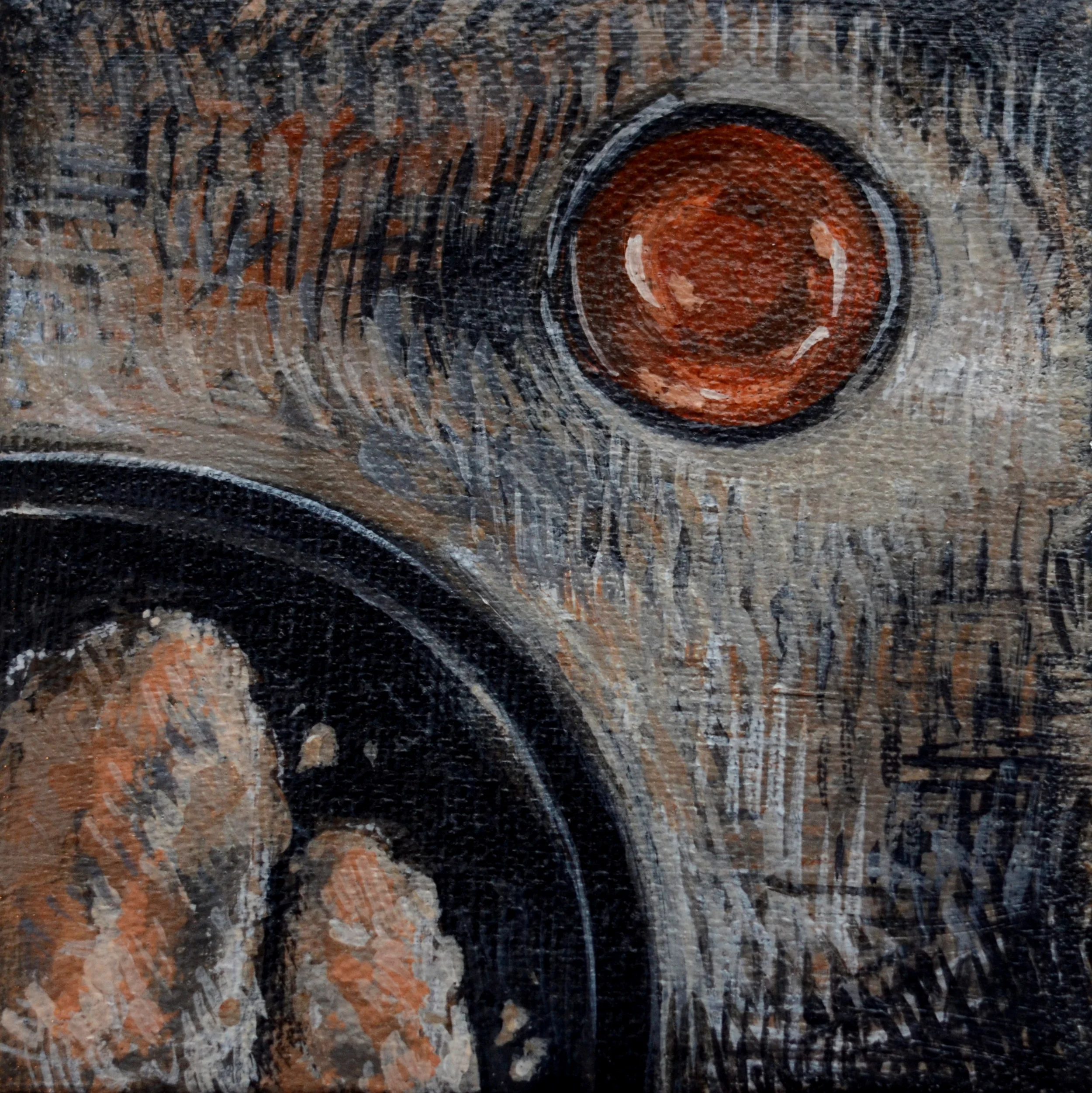 Abstract close-up painting with a round reddish-orange shape and textured feather-like brushstrokes in grey and black, warm and organic